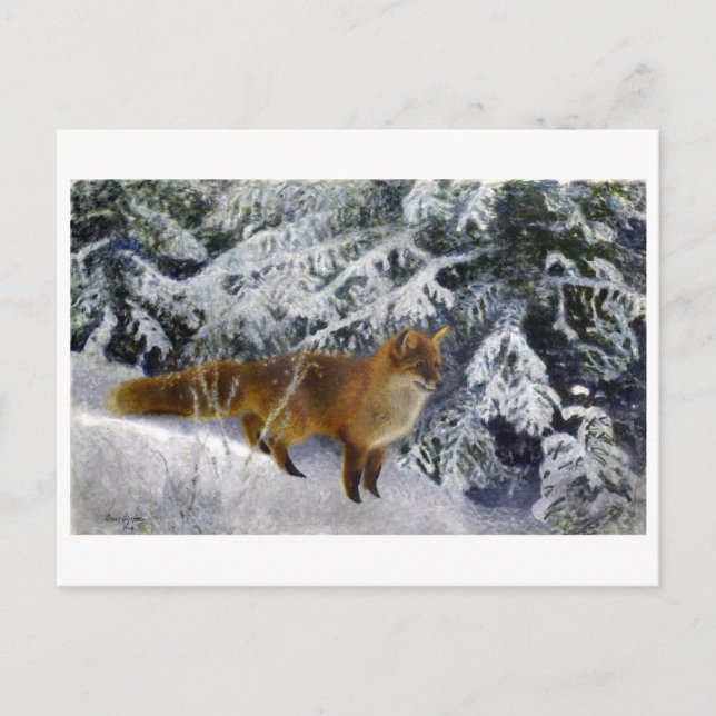 Fox im Winter (1904) von Bruno Liljefors Postkarte (Vorderseite)