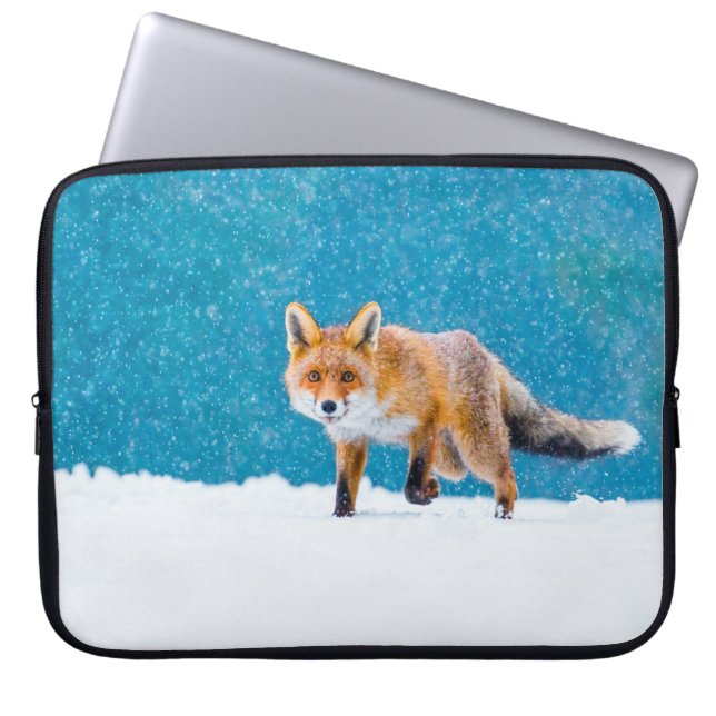 Fox im Winter. Rotfuchs, Vulpes vulpes, Scharfschü Laptopschutzhülle (Vorderseite)