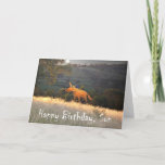 Fox in Mondlicht, Happy Birthday Son, Spaß. Karte<br><div class="desc">Ein Cartoon,  der im Mondlicht von einem Ingwer-Fuchs zeichne. Es ist ein Mond am Nachthimmel,  und "Happy Birthday Son" wird am Ende der Karte geschrieben,  Spaß</div>