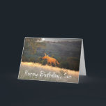 Fox in Mondlicht, Happy Birthday Son, Spaß. Karte<br><div class="desc">Ein Cartoon,  der im Mondlicht von einem Ingwer-Fuchs zeichne. Es ist ein Mond am Nachthimmel,  und "Happy Birthday Son" wird am Ende der Karte geschrieben,  Spaß</div>