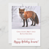 Fox in Schnee Natur Weihnachten