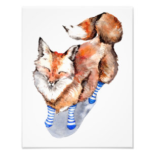 Fox in Socken Fotodruck