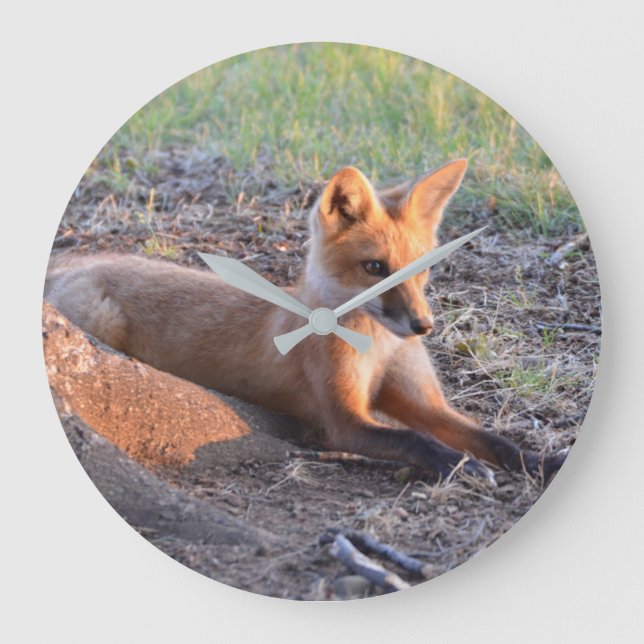 Fox in Sunlight Große Wanduhr (Vorderseite)