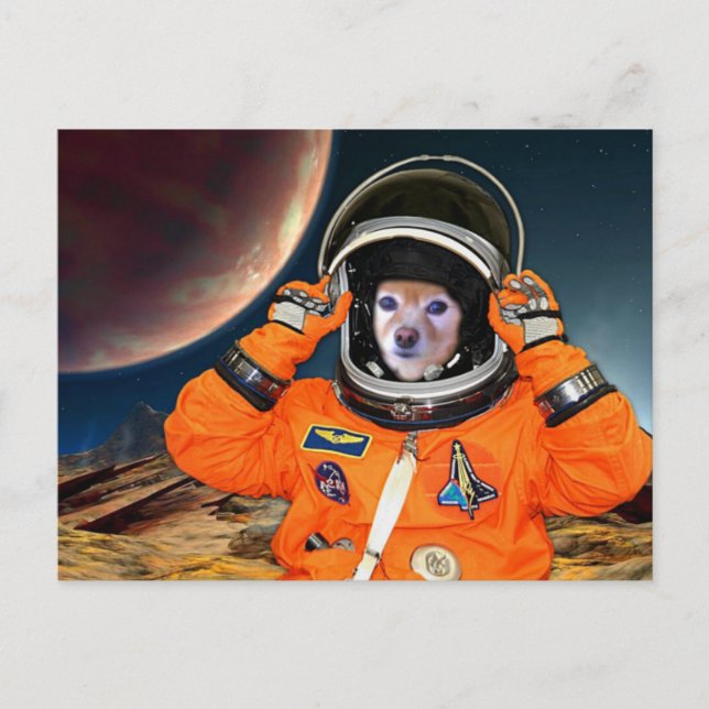 Fox ist Astronaut 2 Postkarte (Vorderseite)