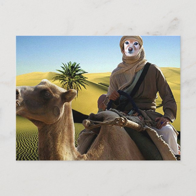 Fox ist der Lawrence von Arabien Postkarte (Vorderseite)