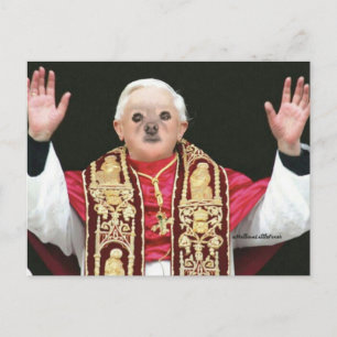 Fox ist der Papst Postkarte
