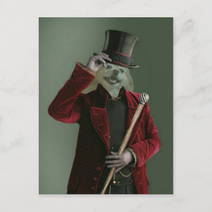 Fox ist der unsichtbare Mann Postkarte