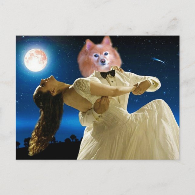 Fox ist ein tanzender Narr Postkarte (Vorderseite)
