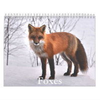 Fox-Kalender
