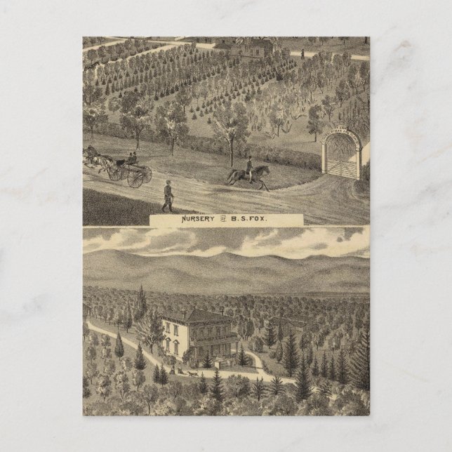 Fox-Kinderzimmer, res, Obstgarten Postkarte (Vorderseite)