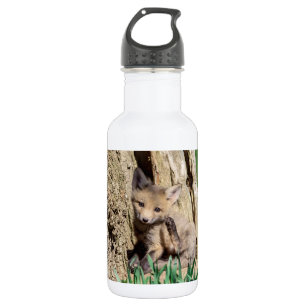 Fox Kit im Hudson Valley Edelstahlflasche