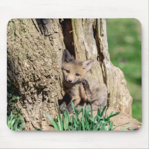 Fox Kit im Hudson Valley Mousepad