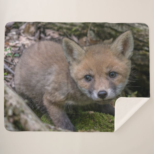 FOX KIT SHERPADECKE (Vorderseite (Horizontal))