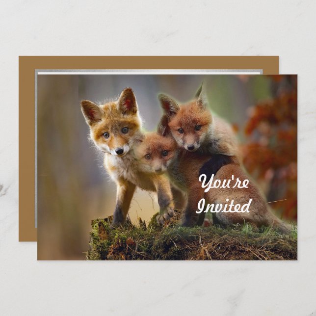 Fox Kits Foto Birthday Einladung (Vorne/Hinten)