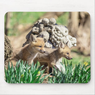 Fox Kits im Hudson Valley Mousepad