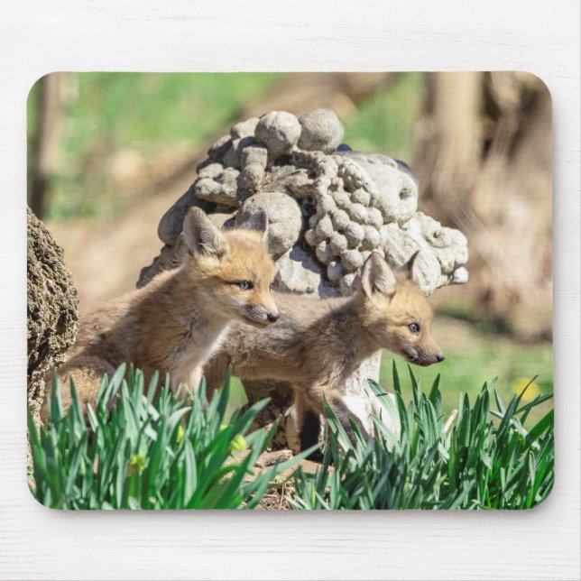 Fox Kits im Hudson Valley Mousepad (Vorne)