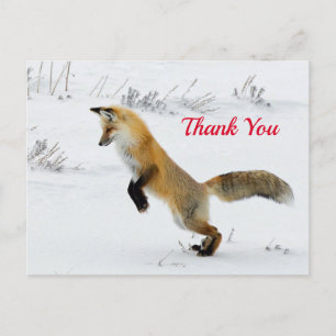 Fox Leaping Snow Foto Vielen Dank Postkarte
