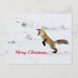 Fox Leaping Snow Foto Weihnachten Postkarte