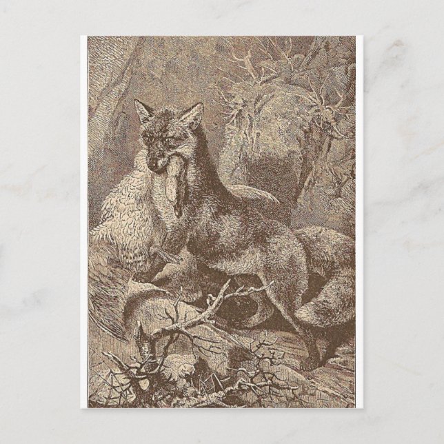 Fox mit seinem Tod Postkarte (Vorderseite)