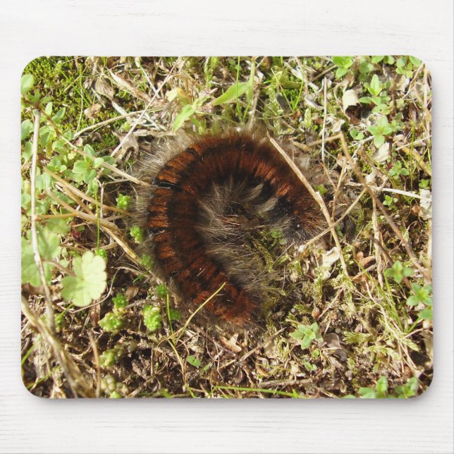 Fox Moth Raupe Mouse Mat Mousepad (Vorne)