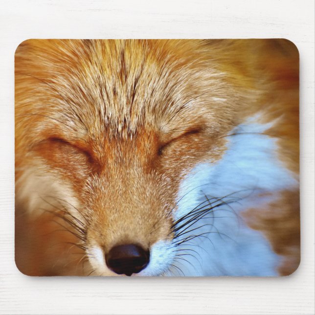 Fox Mousepad (Vorne)