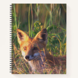 Fox Notebook Notizbuch