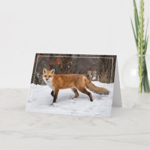 Fox on Snow Christmas Card Karte