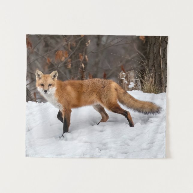 Fox on Snow Wandteppich (Vorderseite (Horizontal))