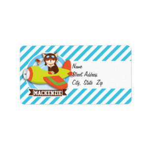 Fox-Pilot im Flugzeug von grün und orange; blaue S Adressaufkleber