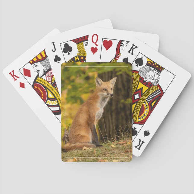 Fox Playing Cards beobachten Spielkarten (Rückseite)