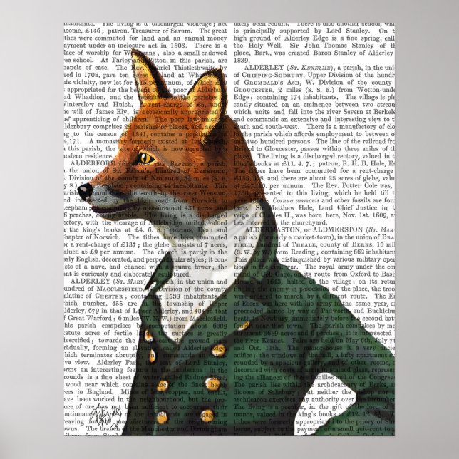 Fox Portrait Poster (Vorne)