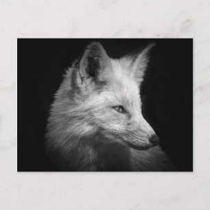 Fox Portrait Postkarte