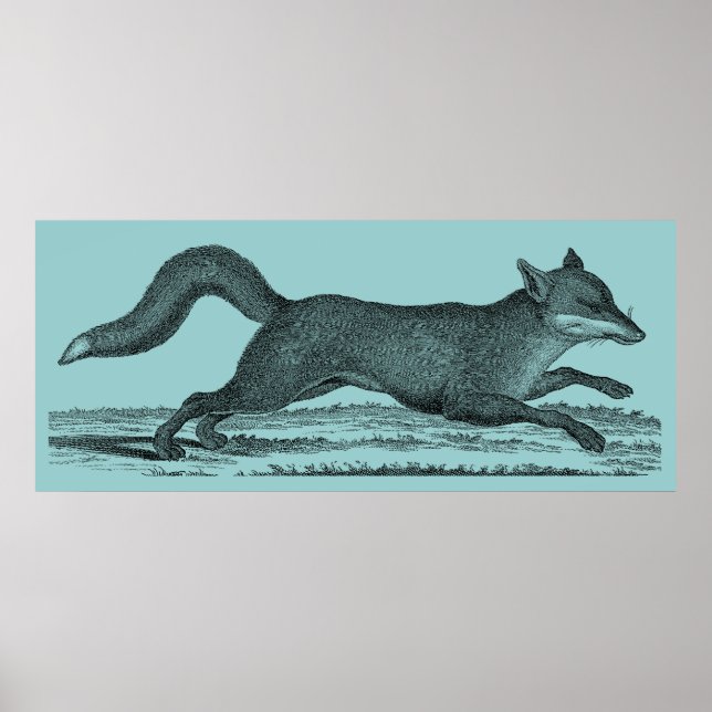 Fox Poster (Vorne)