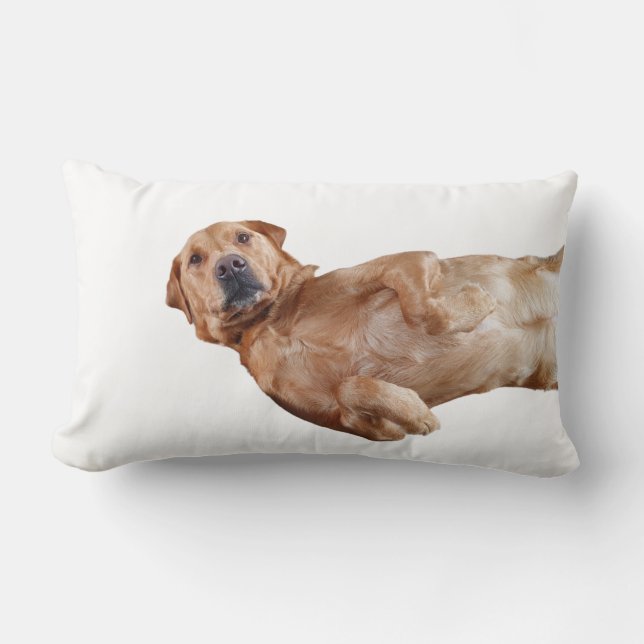 Fox Red Labrador Pillow Lendenkissen (Vorderseite)