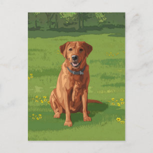 Fox Red Yellow Labrador Retriever Dog Postkarte