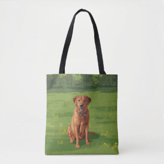 Fox Red Yellow Labrador Retriever Hund
