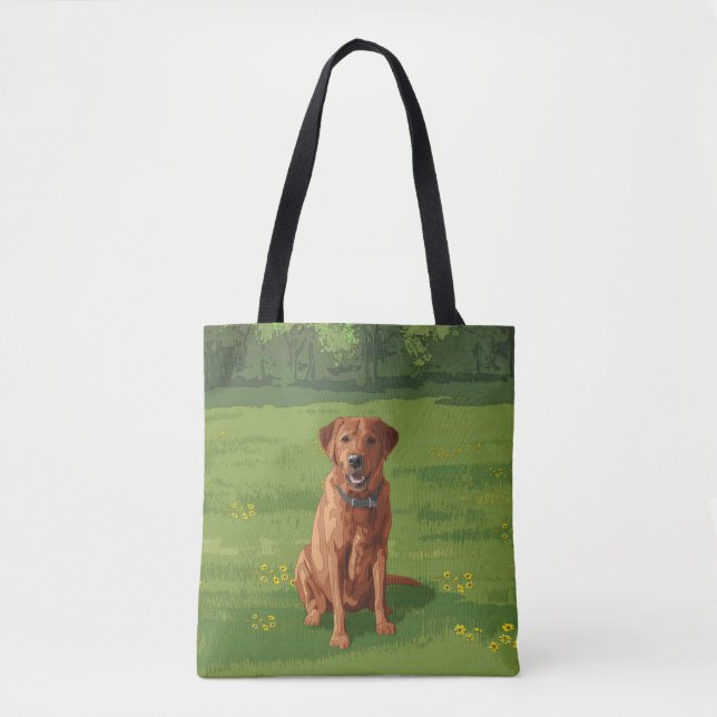 Fox Red Yellow Labrador Retriever Hund (Vorderseite)