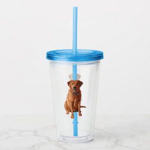 Fox Red Yellow Labrador Retriever Hund Acryltrinkbecher