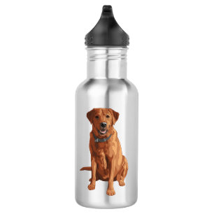 Fox Red Yellow Labrador Retriever Hund Edelstahlflasche