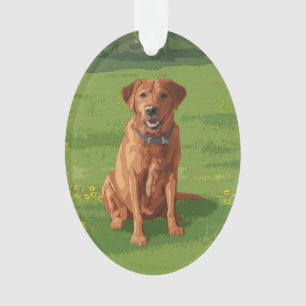 Fox Red Yellow Labrador Retriever Hund Ornament