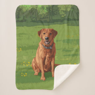 Fox Red Yellow Labrador Retriever Hund Sherpadecke