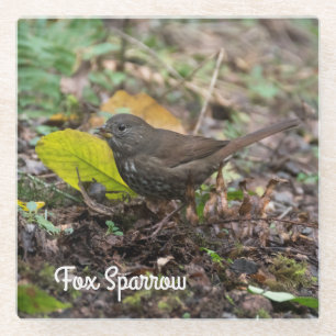 Fox Sparrow Glasuntersetzer