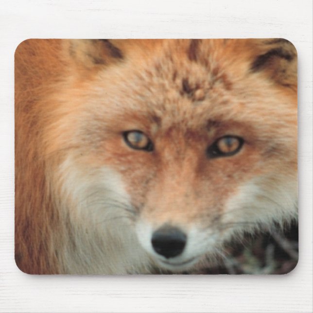 Fox-Spezies-Mausunterlage Mousepad (Vorne)