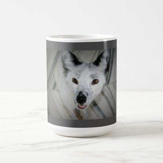 Fox-Tasse - Boris Tasse (Mittel)