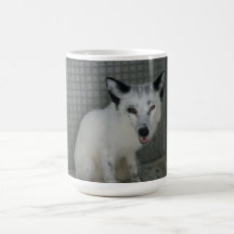 Fox-Tasse - Botschafter Sophia