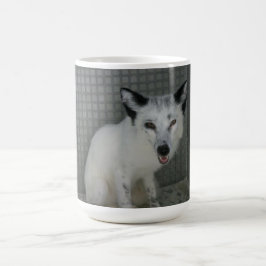 Fox-Tasse - Botschafter Sophia Tasse