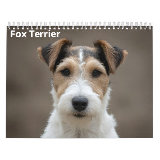 Fox Terrier 2027 Wandkalender