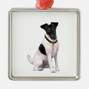 Fox Terrier (A) - glatt - schwarz-weiß Ornament Aus Metall