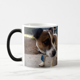 Fox Terrier Attraction, Magic Morph Coffee Tasse