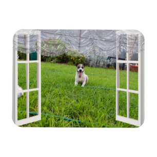 Fox Terrier Come Play, flexible Magnet